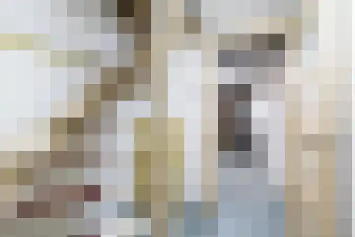 François Haverschmidtlaan 55 Schiedam thumbnail 35