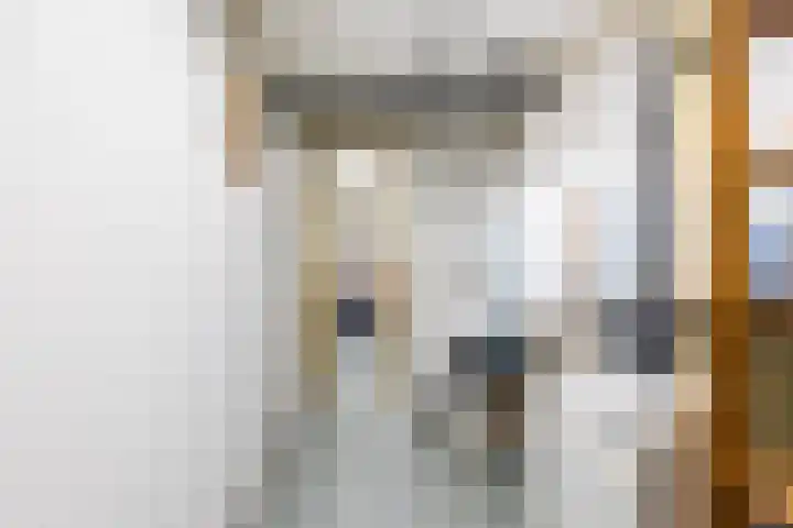 François Haverschmidtlaan 55 Schiedam thumbnail 37
