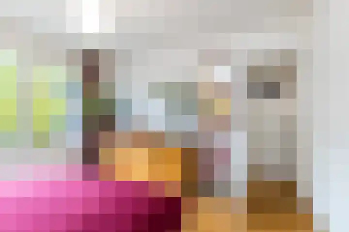 François Haverschmidtlaan 55 Schiedam thumbnail 41