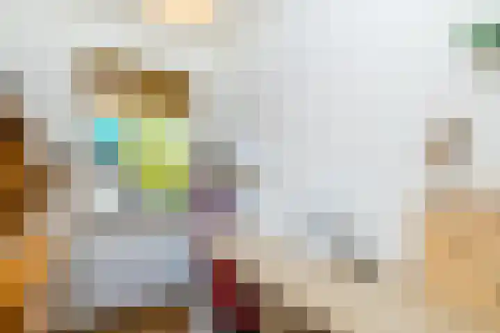 François Haverschmidtlaan 55 Schiedam thumbnail 43