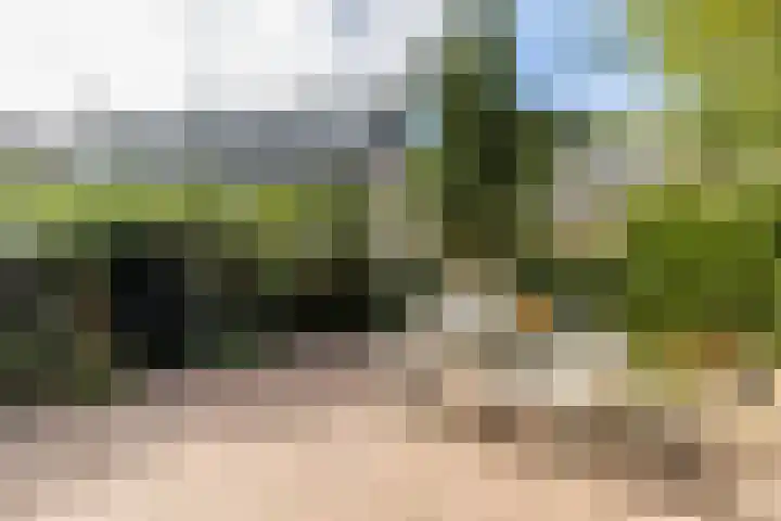 François Haverschmidtlaan 55 Schiedam thumbnail 5