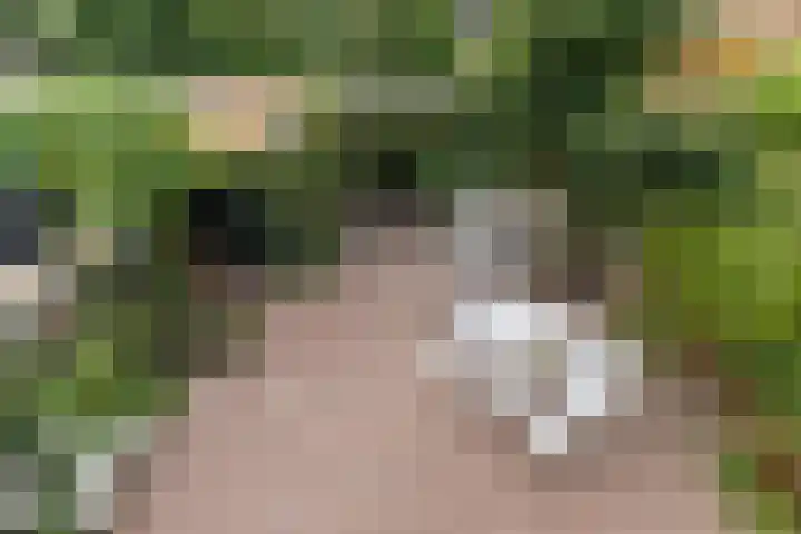 François Haverschmidtlaan 55 Schiedam thumbnail 51