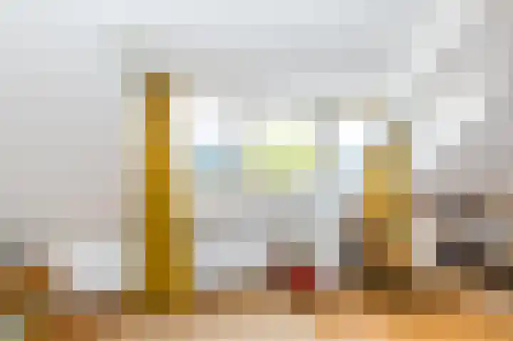 François Haverschmidtlaan 55 Schiedam thumbnail 54