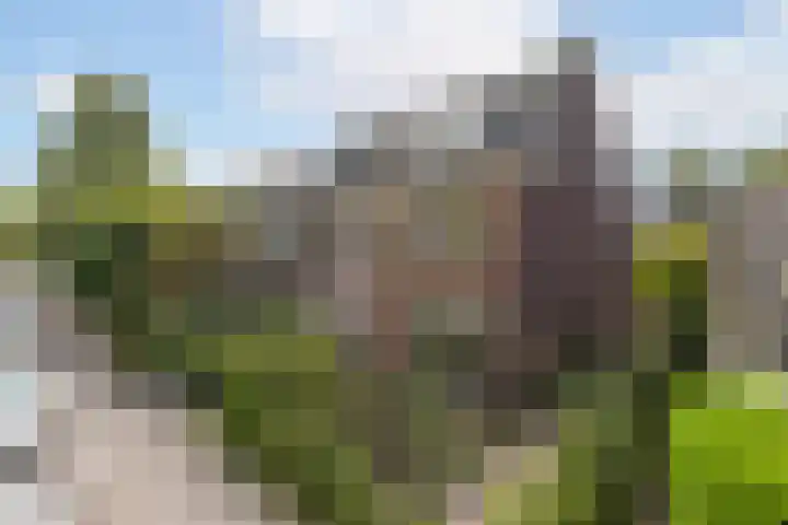 François Haverschmidtlaan 55 Schiedam thumbnail 6
