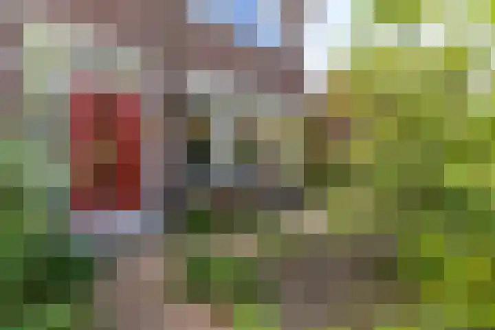 François Haverschmidtlaan 55 Schiedam thumbnail 63