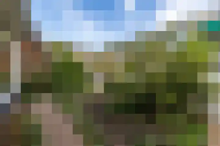 François Haverschmidtlaan 55 Schiedam thumbnail 64