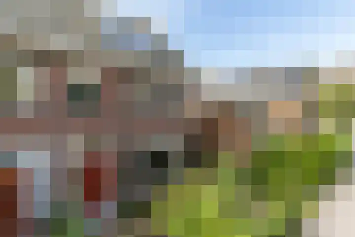 François Haverschmidtlaan 55 Schiedam thumbnail 65