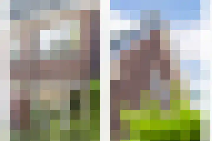 François Haverschmidtlaan 55 Schiedam thumbnail 70