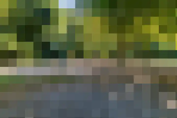 François Haverschmidtlaan 55 Schiedam thumbnail 75