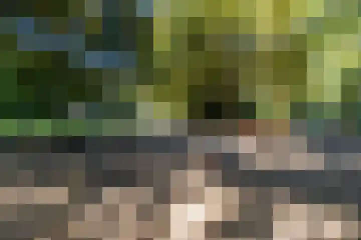 François Haverschmidtlaan 55 Schiedam thumbnail 76