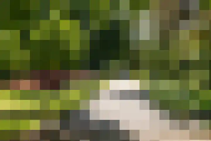 François Haverschmidtlaan 55 Schiedam thumbnail 77