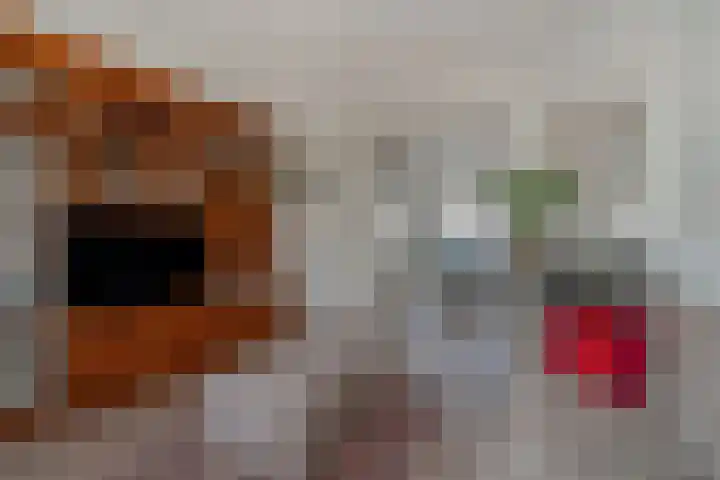 François Maelsonstraat 1 Den Haag thumbnail 13