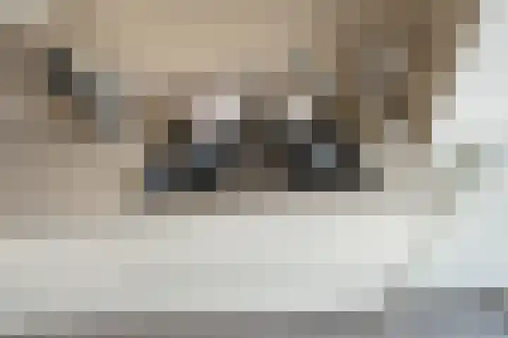 François Maelsonstraat 1 Den Haag thumbnail 18