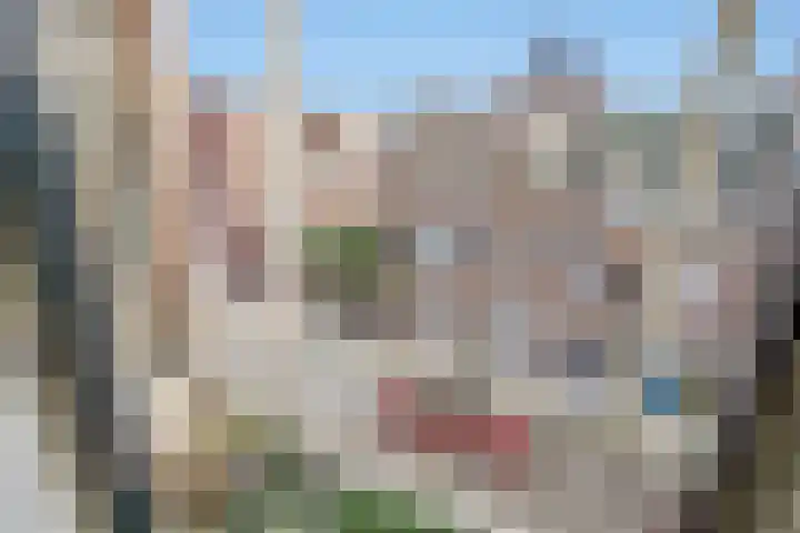 François Maelsonstraat 1 Den Haag thumbnail 31