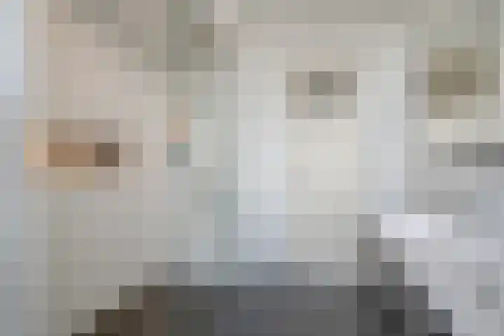 François Maelsonstraat 1 Den Haag thumbnail 32