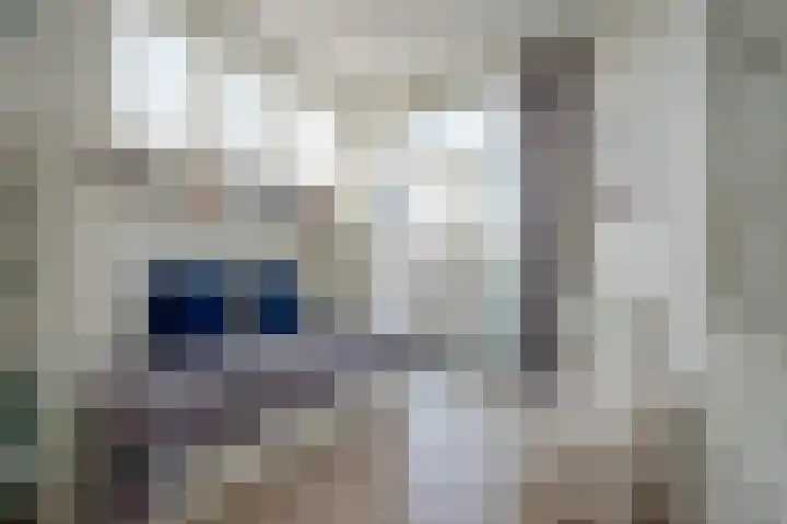 François Maelsonstraat 1 Den Haag thumbnail 35