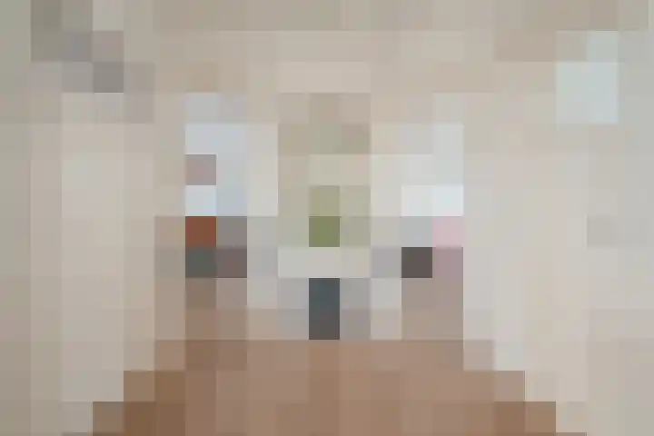 François Maelsonstraat 1 Den Haag thumbnail 9