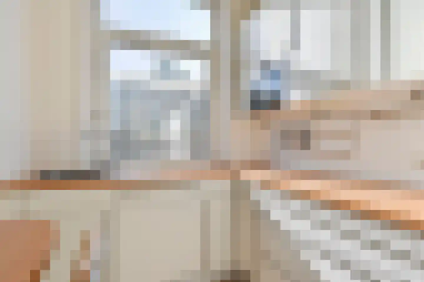 François Maelsonstraat 14 Den Haag thumbnail 15