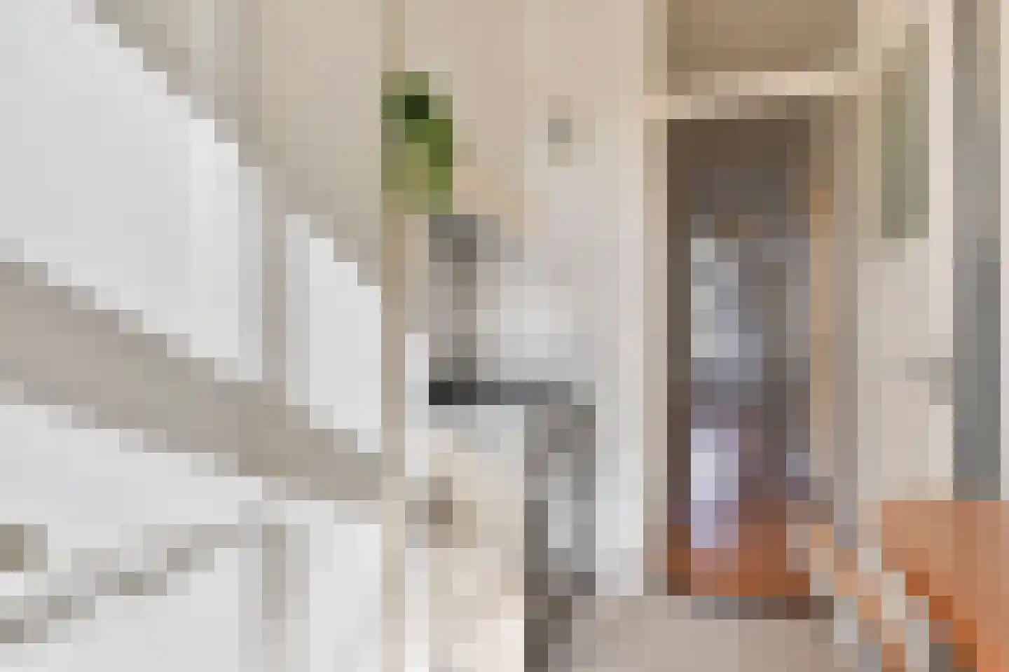 François Maelsonstraat 14 Den Haag thumbnail 16