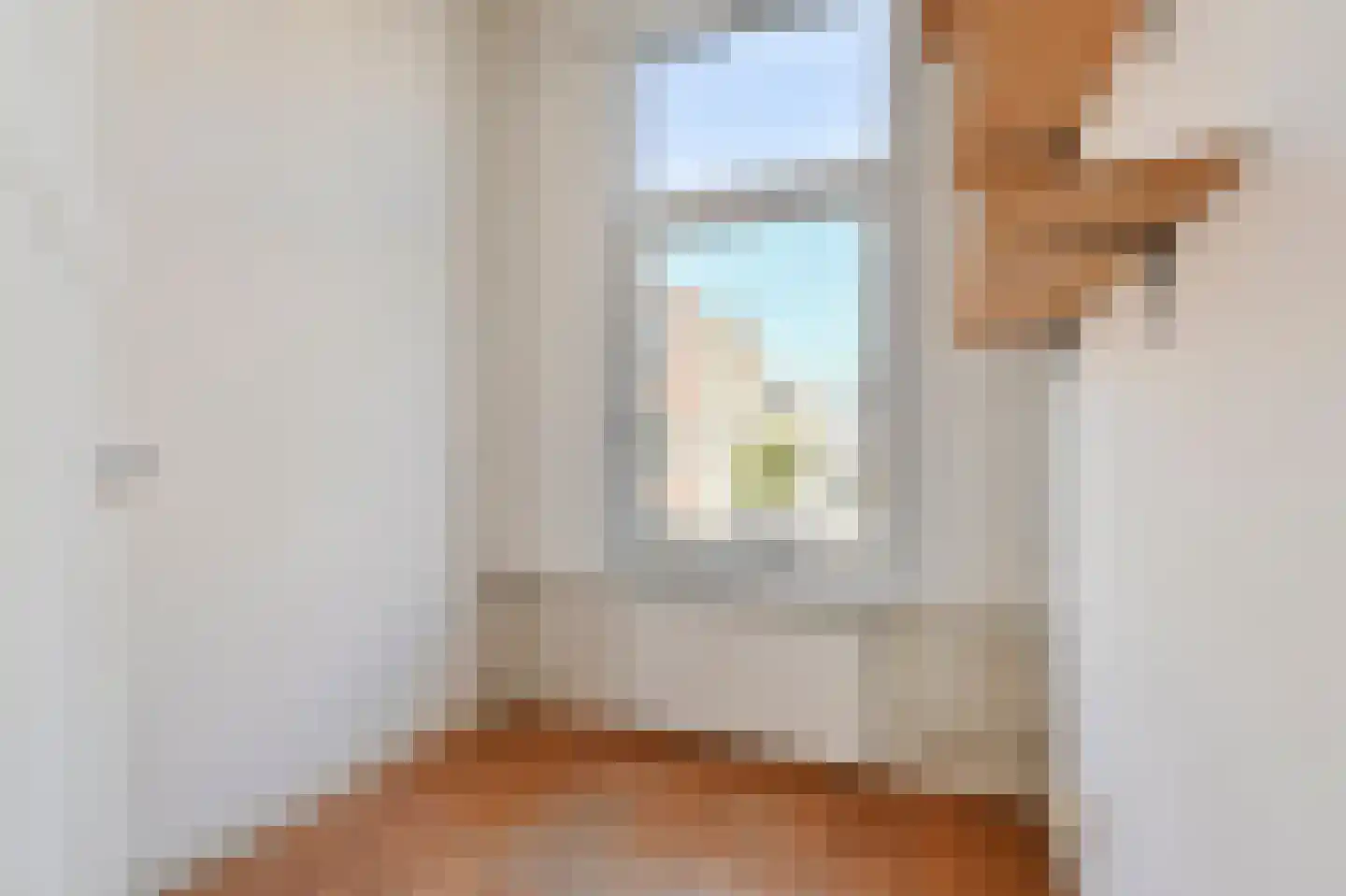 François Maelsonstraat 14 Den Haag thumbnail 17