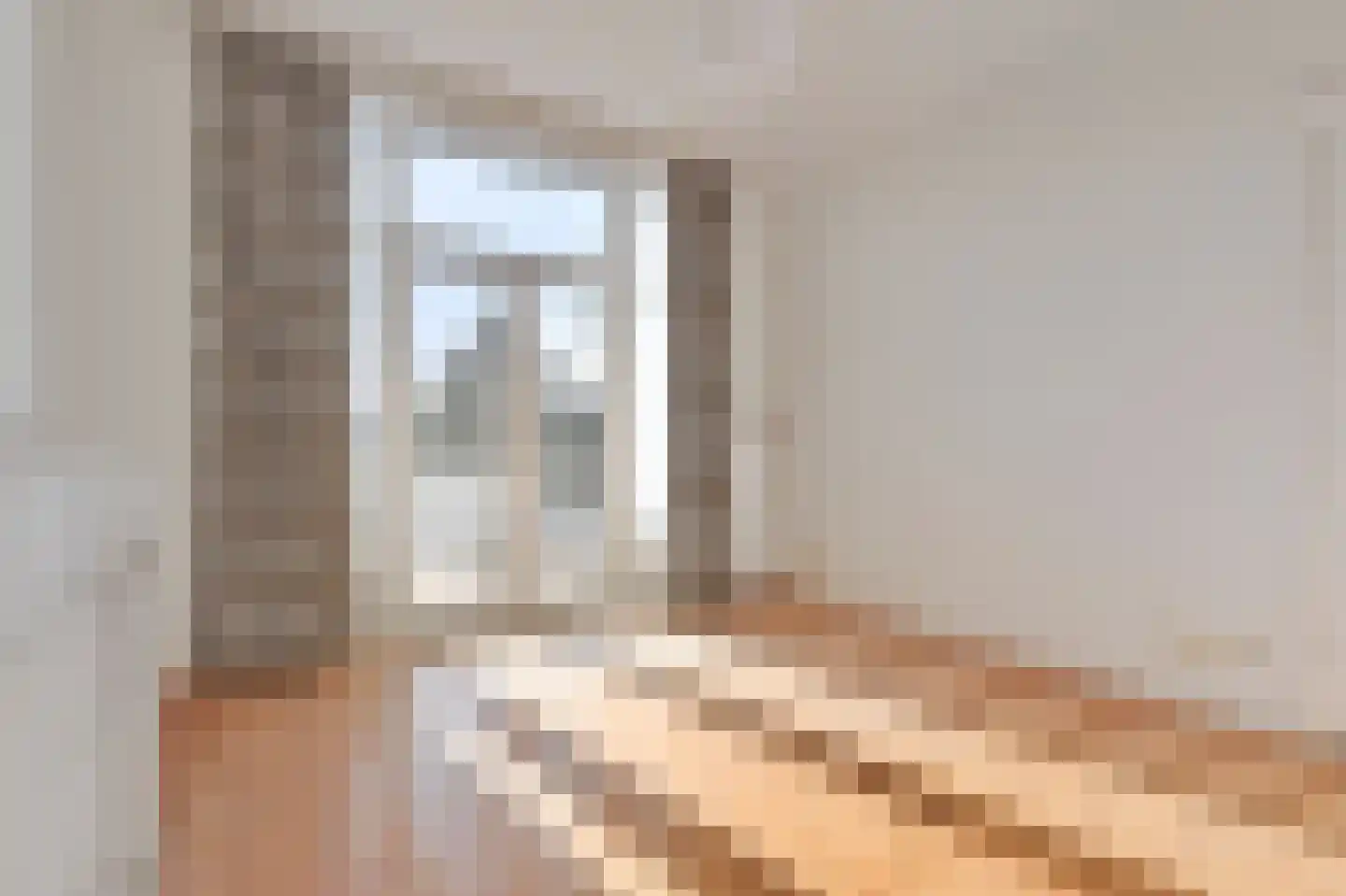 François Maelsonstraat 14 Den Haag thumbnail 22