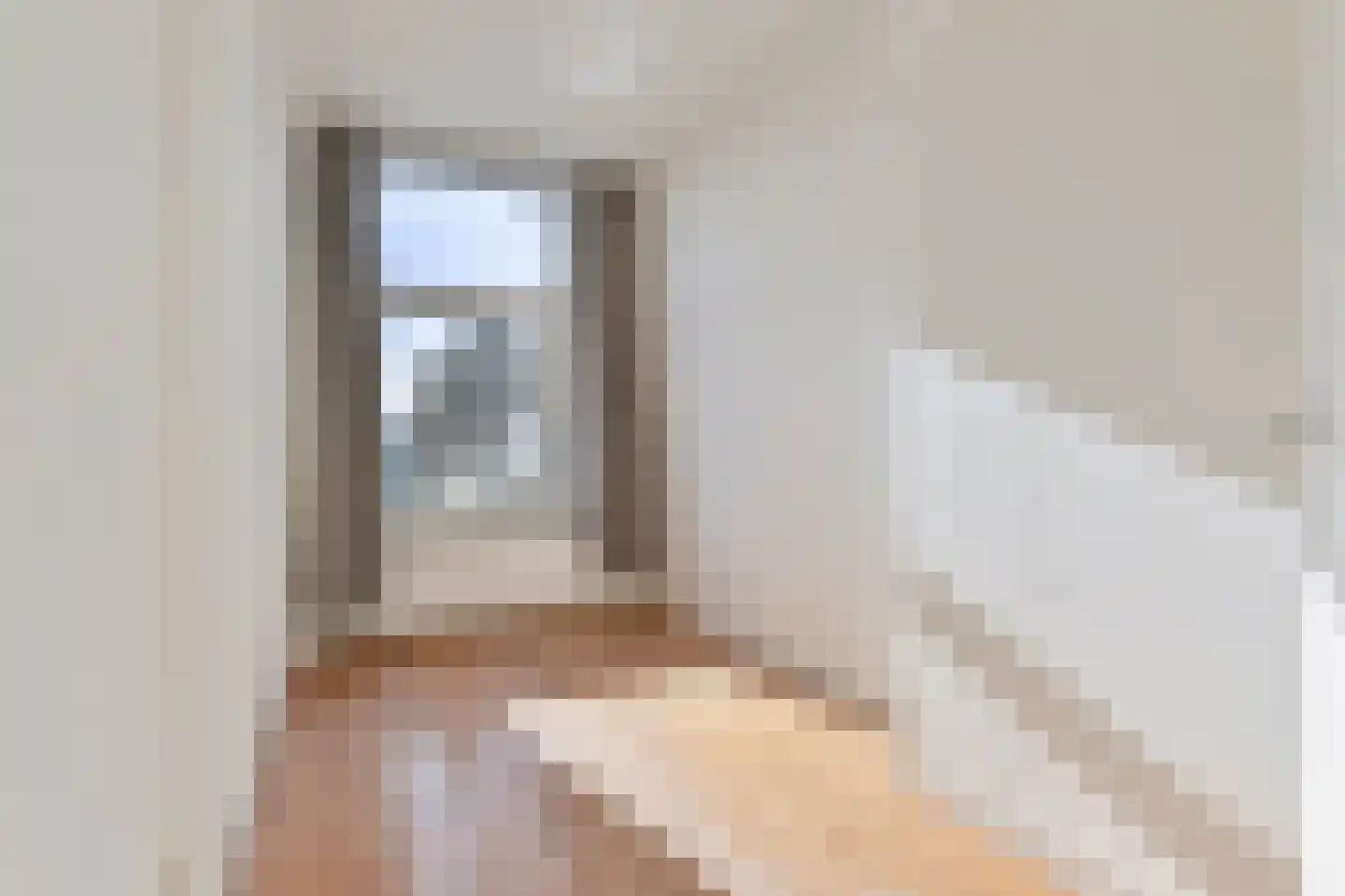 François Maelsonstraat 14 Den Haag thumbnail 23