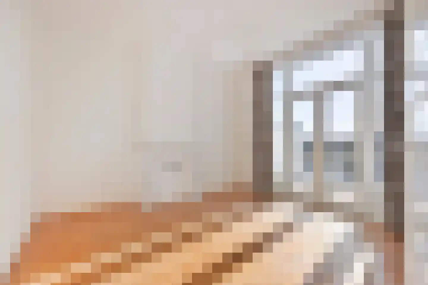 François Maelsonstraat 14 Den Haag thumbnail 4