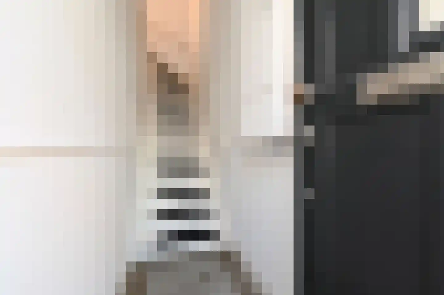 François Maelsonstraat 14 Den Haag thumbnail 7