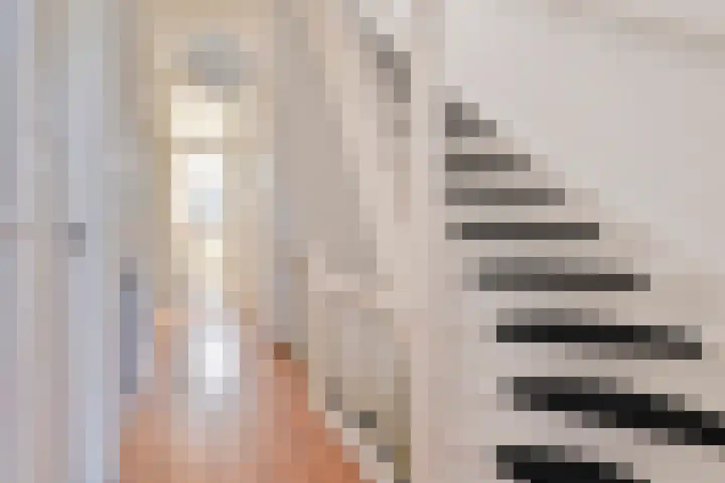 François Maelsonstraat 14 Den Haag thumbnail 8