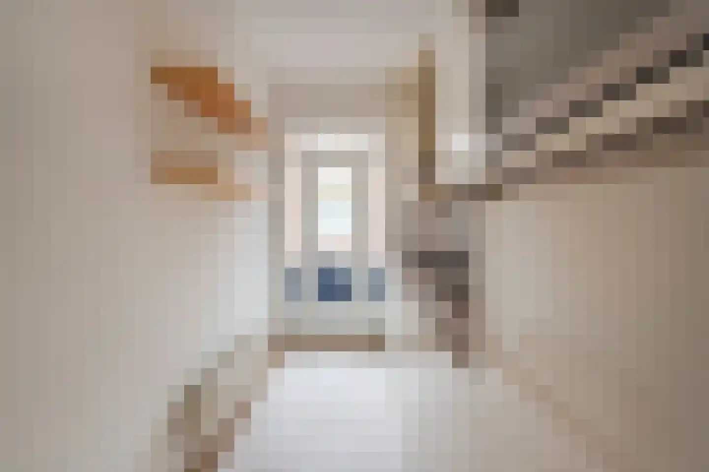 François Maelsonstraat 19 E Den Haag thumbnail 14