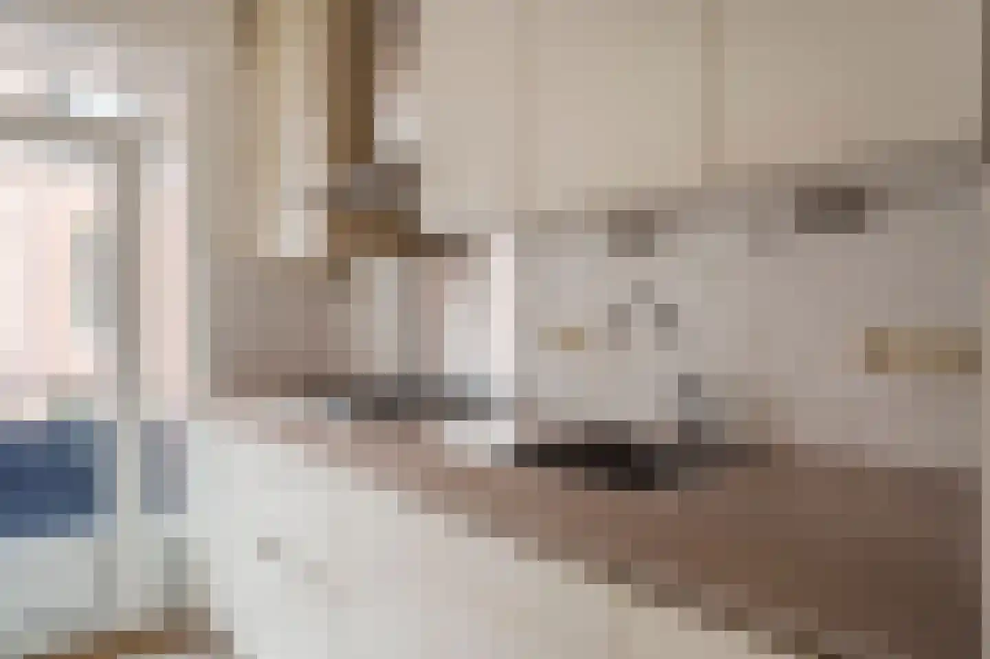 François Maelsonstraat 19 E Den Haag thumbnail 15