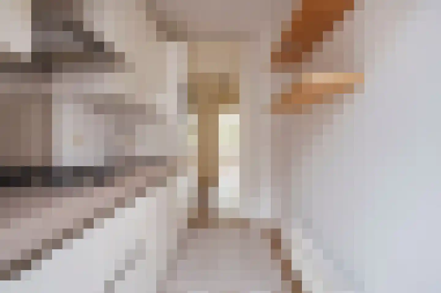François Maelsonstraat 19 E Den Haag thumbnail 18