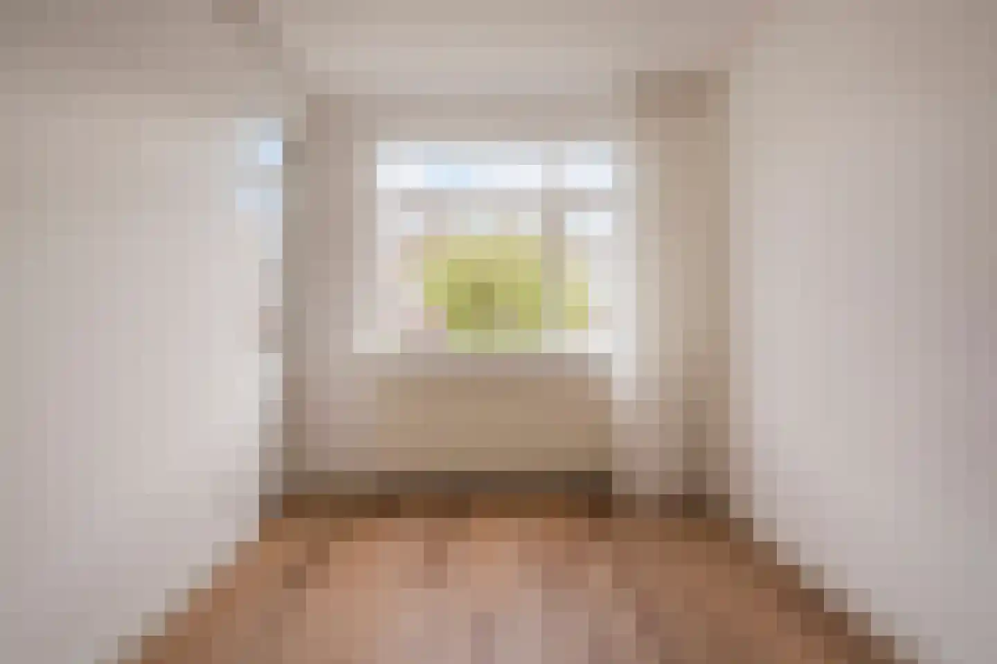 François Maelsonstraat 19 E Den Haag thumbnail 22