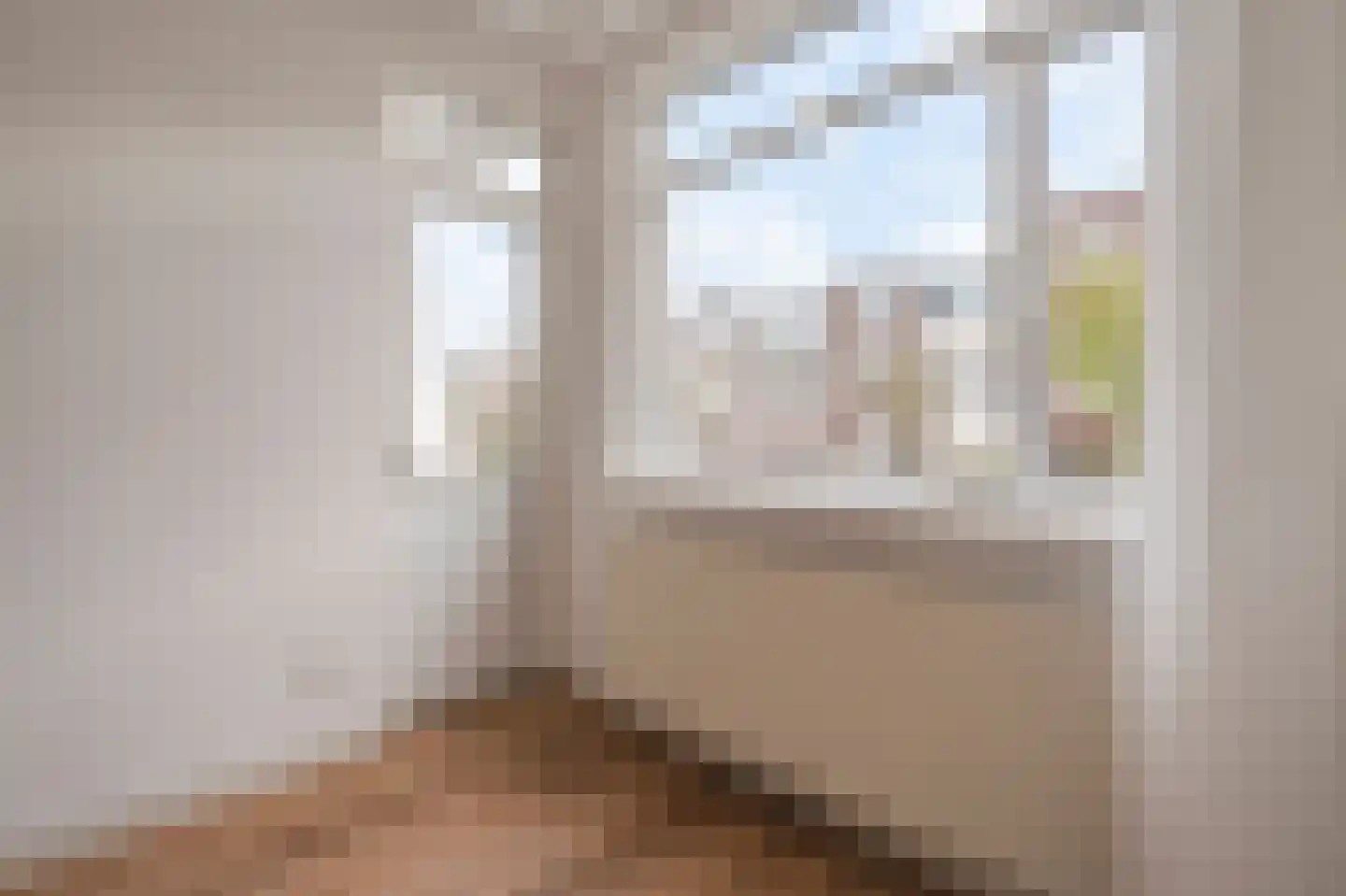 François Maelsonstraat 19 E Den Haag thumbnail 24
