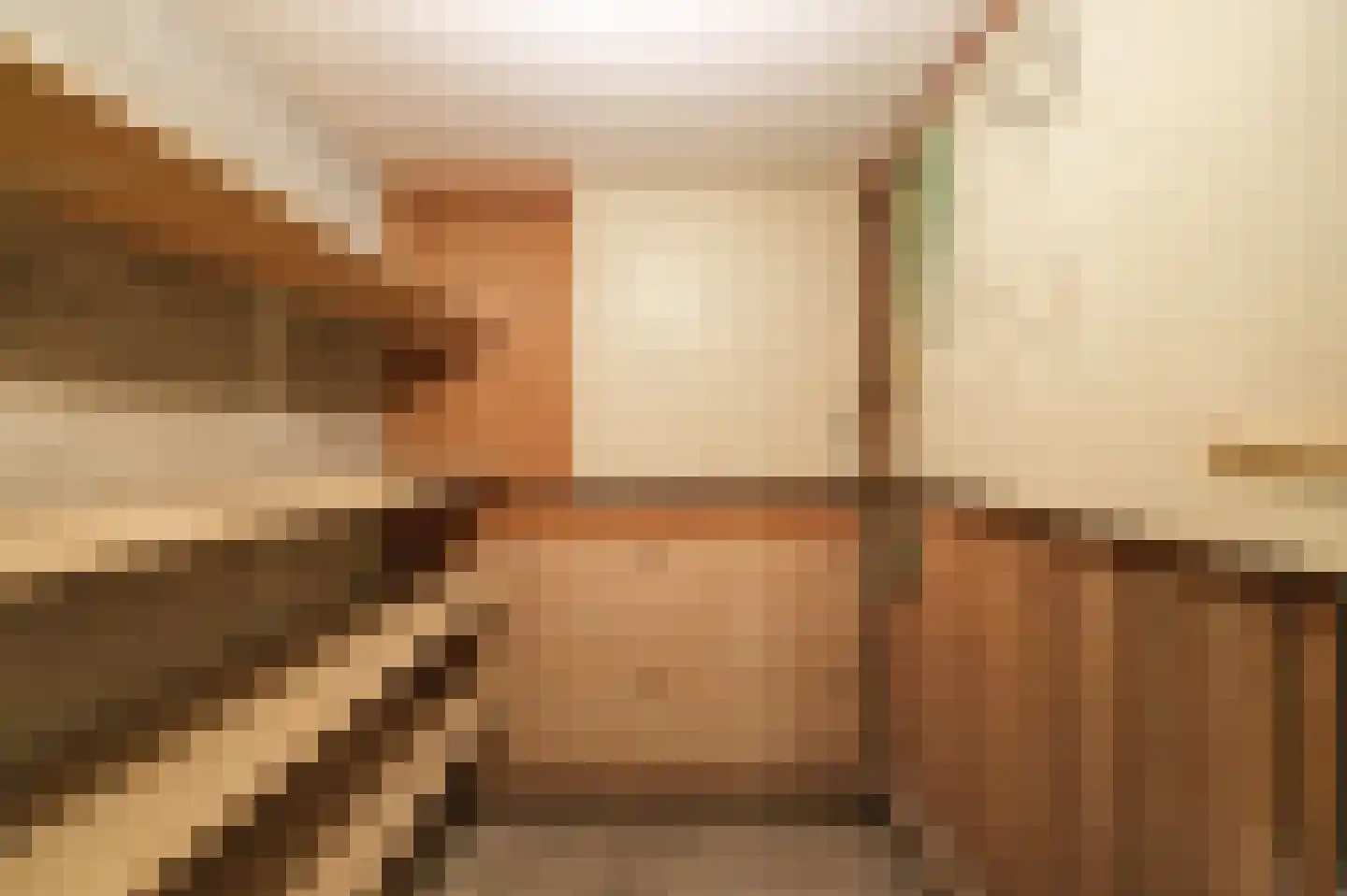 François Maelsonstraat 19 E Den Haag thumbnail 27