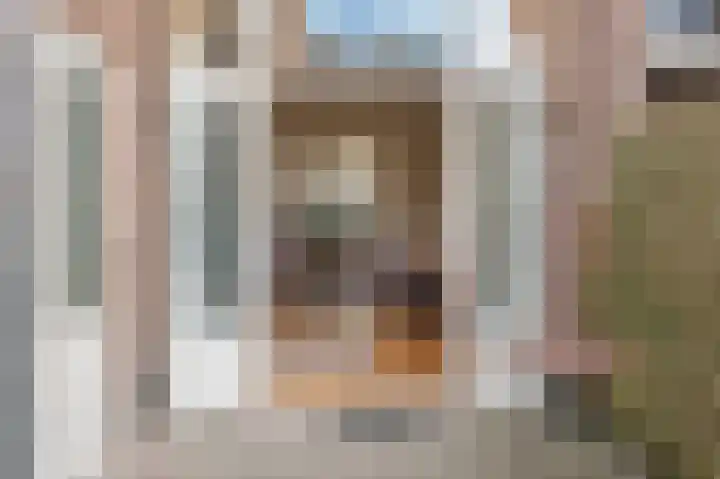 François Maelsonstraat 32 Den Haag thumbnail 20