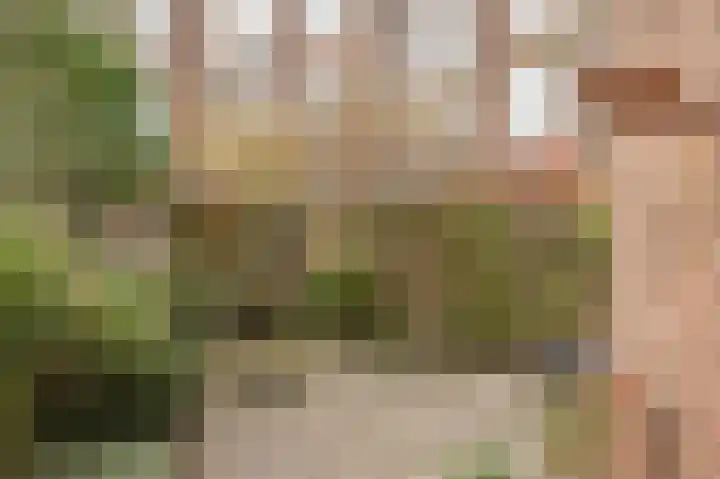 François Maelsonstraat 32 Den Haag thumbnail 23
