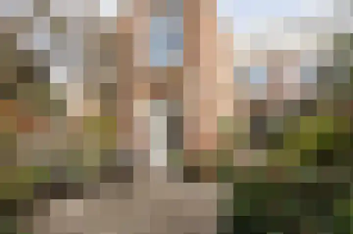 François Maelsonstraat 32 Den Haag thumbnail 27