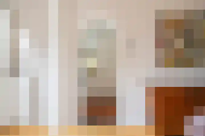 François Maelsonstraat 32 Den Haag thumbnail 30