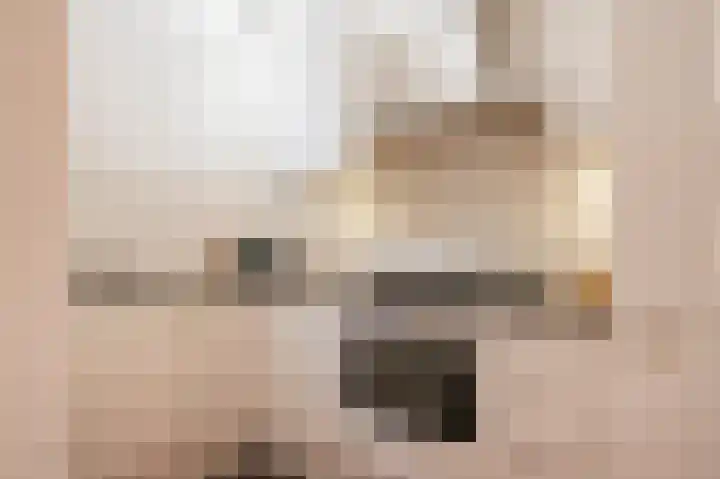 François Maelsonstraat 32 Den Haag thumbnail 31
