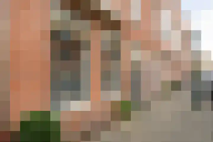François Maelsonstraat 32 Den Haag thumbnail 48