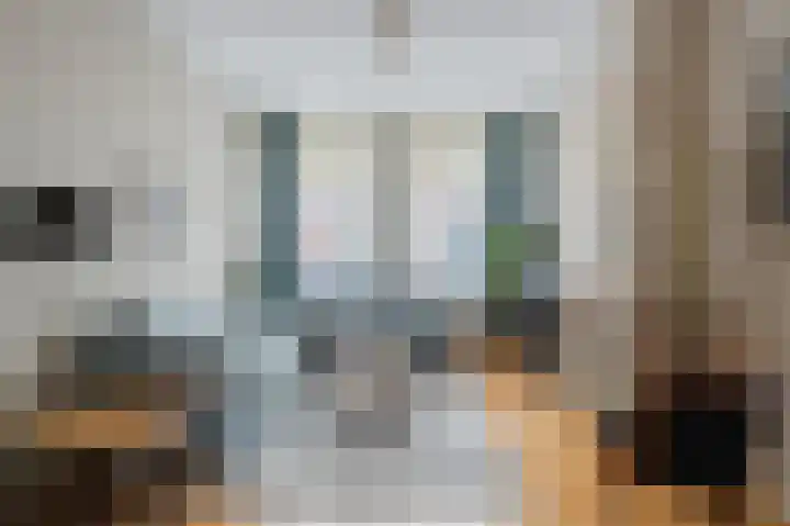 François Maelsonstraat 32 Den Haag thumbnail 8