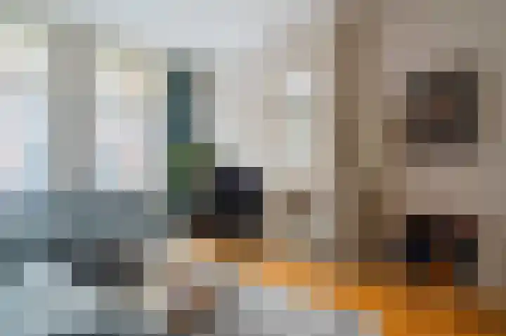 François Maelsonstraat 32 Den Haag thumbnail 9