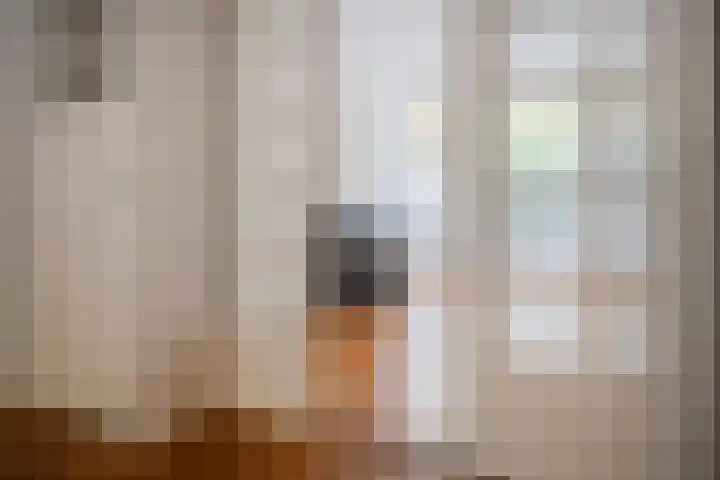 François Maelsonstraat 43 Den Haag thumbnail 11