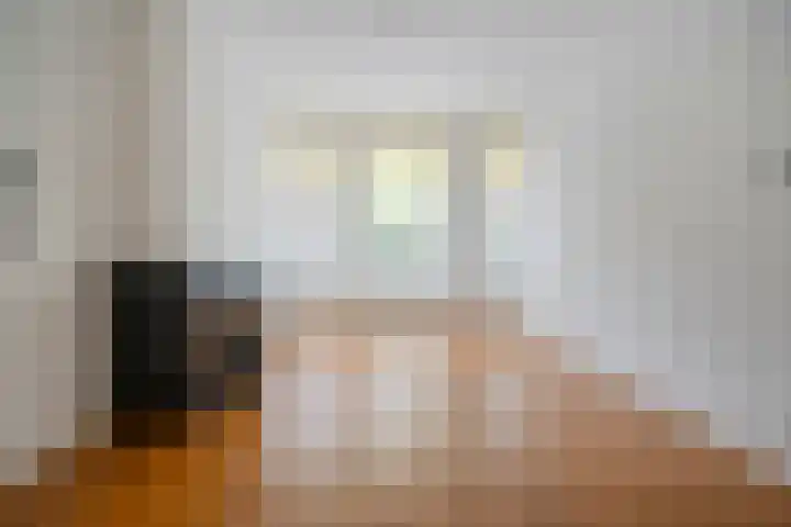 François Maelsonstraat 43 Den Haag thumbnail 12