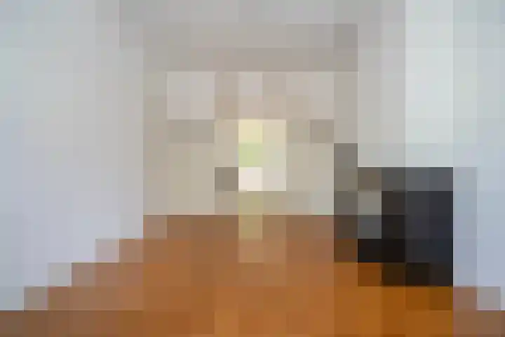 François Maelsonstraat 43 Den Haag thumbnail 14