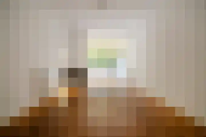 François Maelsonstraat 43 Den Haag thumbnail 16