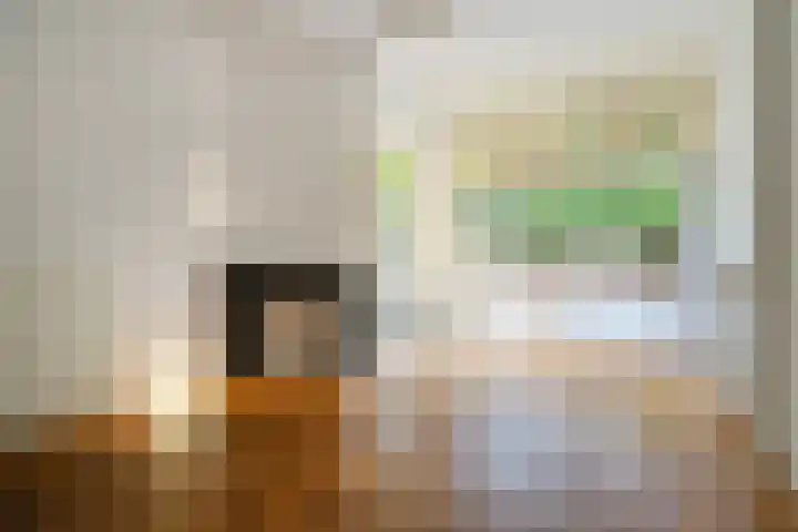 François Maelsonstraat 43 Den Haag thumbnail 17
