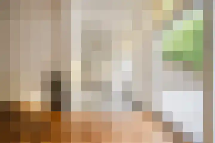 François Maelsonstraat 43 Den Haag thumbnail 18