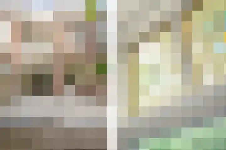 François Maelsonstraat 43 Den Haag thumbnail 29